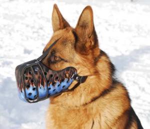 Rottweiler dog muzzle dog blue flames_lrg
