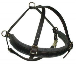 Customize Tracking Dog Harness for ROTTWEILER ? read following - it takes only few minutes to know this subject better