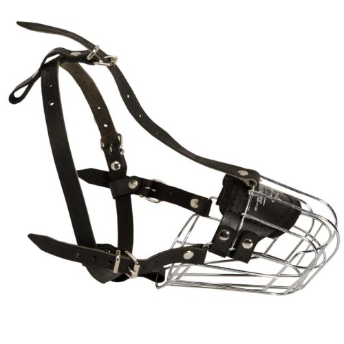 Comfortable Wire Cage Dog Muzzle for Rottweiler Walking and Training ...